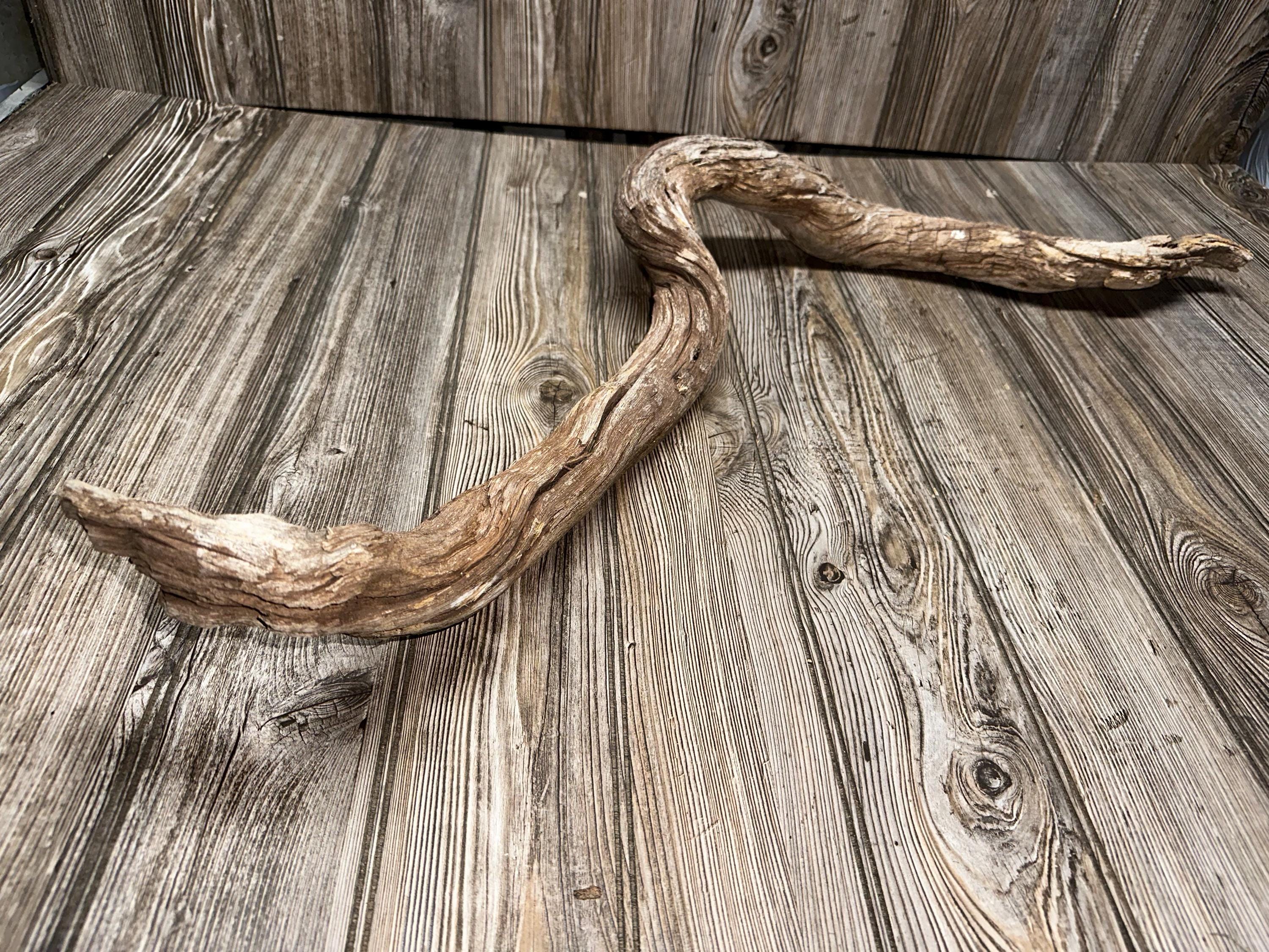 Curved Tree Limb, Branch End, Driftwood, Approximately 34 Inches Long ...
