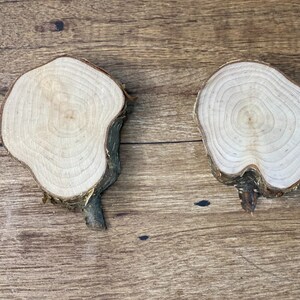 Two Thick Yellow Birch Slices, 2 Golden Brown Discs, Approximately 3-4 Inches Diameter by 1 Inch Thick