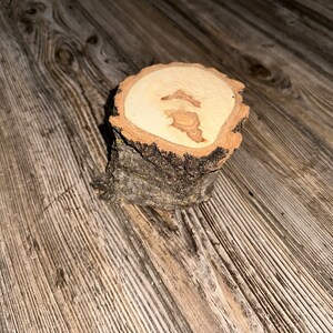 One Aspen Log, End Piece, Approximately 4 Inches Long by 4 Inches Wide and 3 Inch Thick
