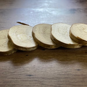 Yellow Birch Slices, 5 Golden Brown Discs, Approximately 4 Inches Diameter by 1/2 Inch Thick