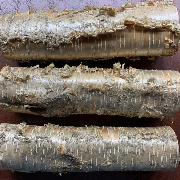 Birch Logs Etsy