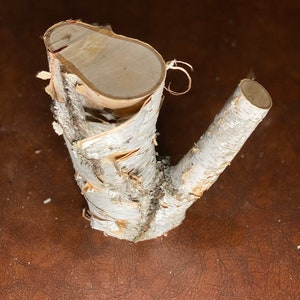 White Birch V- Shaped Log, Approximately 8 Inches Long by 4 Inches Wide ...
