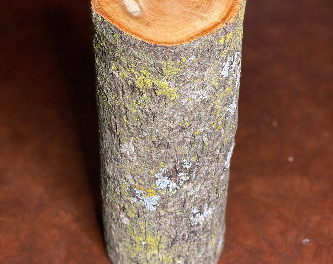 Basswood Hammerschlagen Log, One Count, Approximately 20 Inches Long by