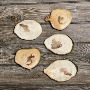 May include: Five natural wood slices, each with a unique grain pattern, are arranged on a rustic wooden background. The slices are various shapes and sizes, with a natural, light brown color.