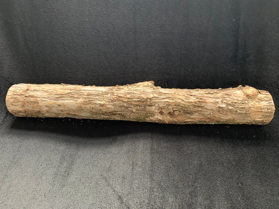 Ironwood Log Approximately 18 Inches Long and About 2 1/2 Etsy