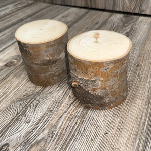 Aspen Logs, 4 Inches Long, 4 Inches Diameter, 2 Count - Etsy
