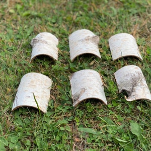 May include: Six white birch bark tubes, each with a slightly different texture and shape, are arranged on a bed of green grass.