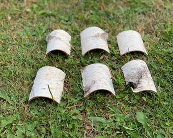 Cinco tejas de abedul blanco, mini túneles para arañas, de aproximadamente 7,6 cm de largo por 5 cm de ancho y 2,5 cm de alto.
