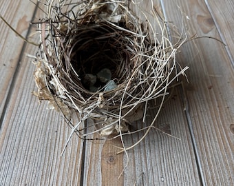Birds Nest, Real and Authentic Vacant Birds Nest, Approximately 6 inches wide by 6 inches long by 4 inches tall