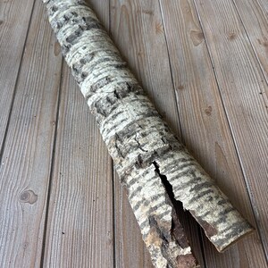 May include: A section of birch tree bark with a natural, textured appearance. The bark is primarily white and gray with dark, horizontal stripes. A large split runs down the length of the bark, revealing the brown interior.