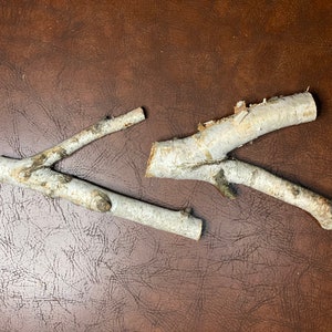 White Birch Y Shaped Logs, 2 Count, About 9 Inches Long