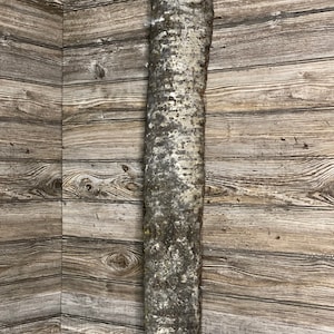 May include: A close-up of a piece of wood with a rough, natural texture. The wood is light brown with white patches and is set against a background of dark brown wood planks.