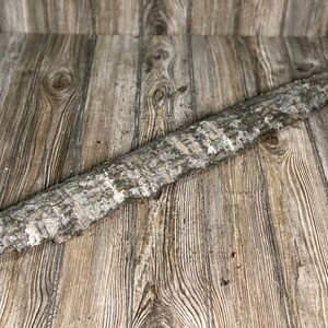 May include: A piece of natural bark with a light gray and brown color. The bark has a rough texture and is perfect for crafting projects.