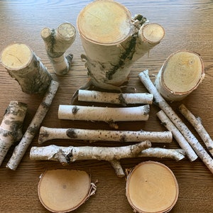 White Birch Ends and Pieces, 15 pieces, Assorted Sizes
