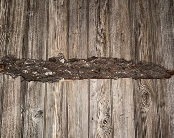 Tree Bark, Real Tree Bark, Approximately 31 Inches Long by 5 Inches Wide