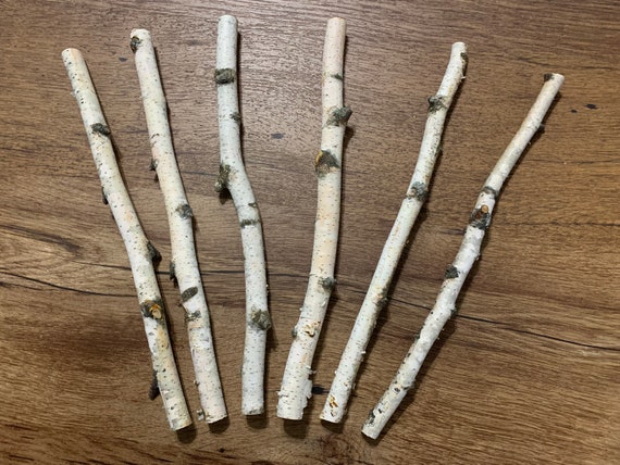 Birch Sticks