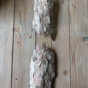 May include: Two pieces of textured tree bark, with a mix of gray, brown, and pink hues. The bark has a rough, layered appearance. The pieces are set against a light brown wooden background.