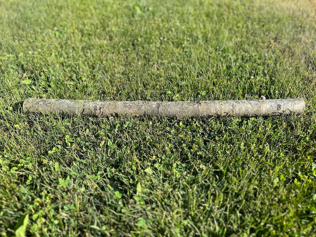 Basswood Log American Linden 30 Inches Long Etsy