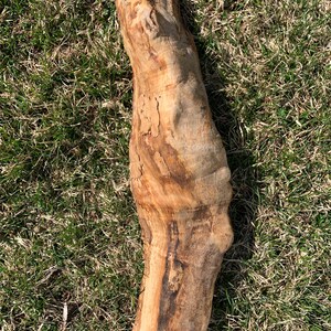 May include: A long, gnarled piece of driftwood with a light brown color and a rough, textured surface. The wood has a natural, rustic look.