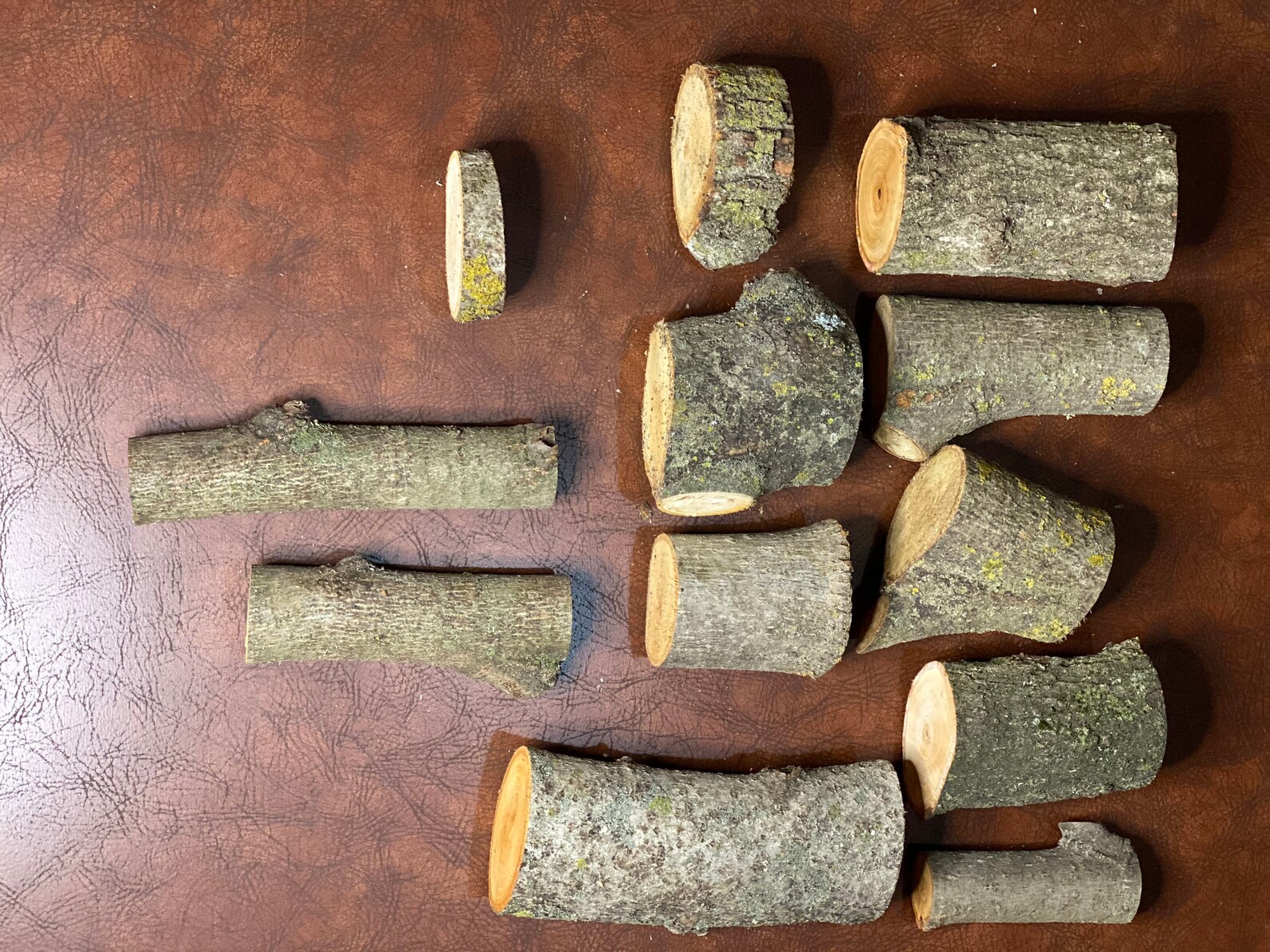 12 Pack Assorted Basswood Logs 18 Inches in Length Etsy