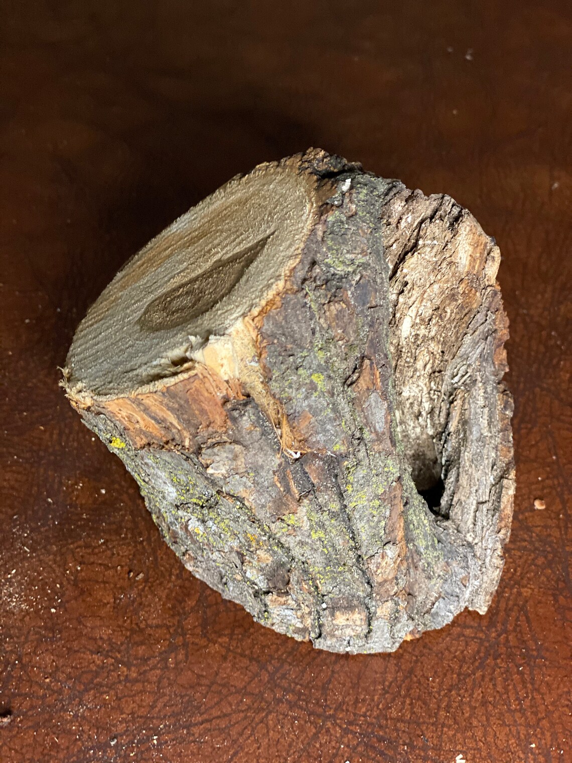 Basswood Log Basswood Stump One Count About 5 Inches Long Etsy