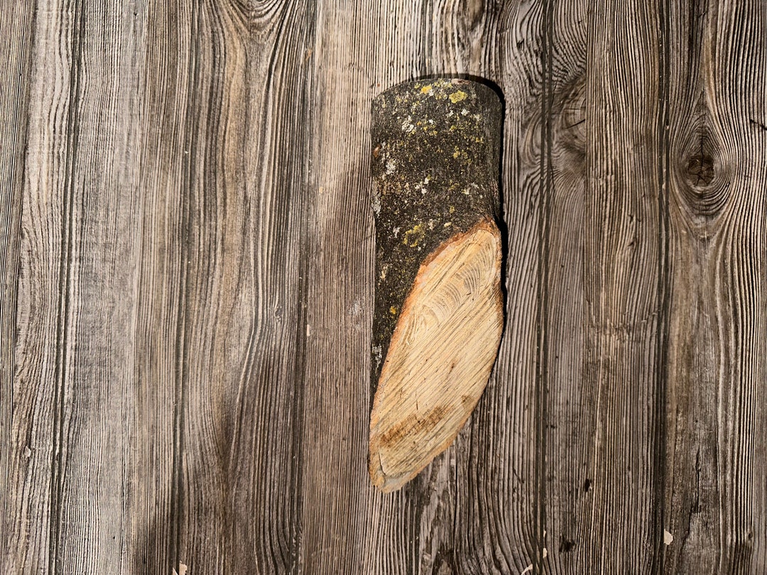 Basswood Log, Basswood Wedge, One Count, About 12 Inches Long by 4
