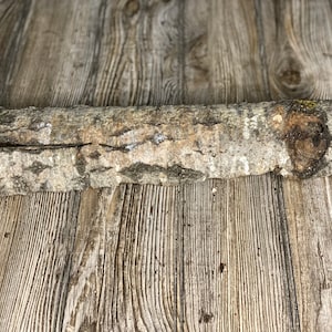 May include: A piece of rough, weathered, brown wood with a knot on one end. The wood is lying on a wooden surface.