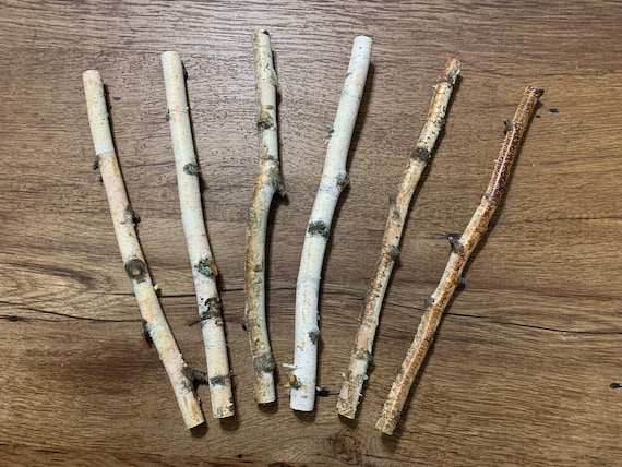 White Birch Branches, 6 count, 12 inches in length, 1/2 - 3/4 inch diameters