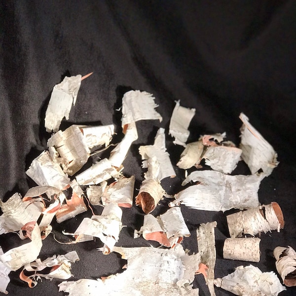 Birch bark, 25 assorted pieces of white birch bark