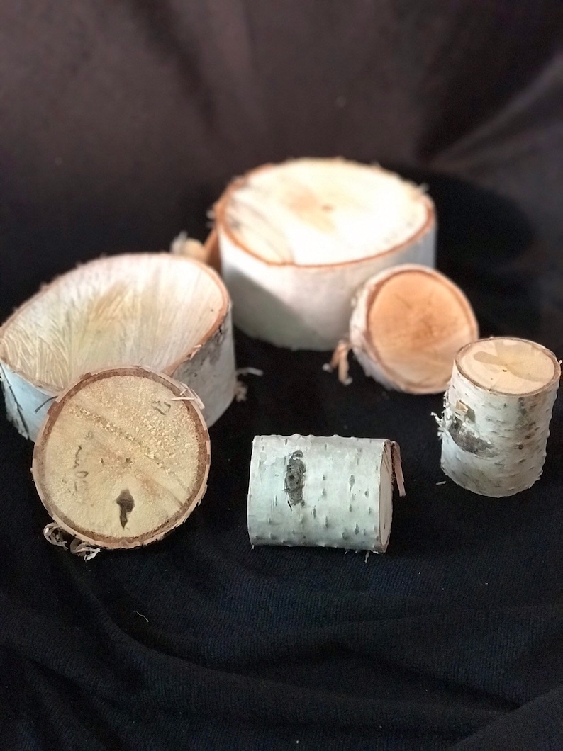 White Birch slices six pieces