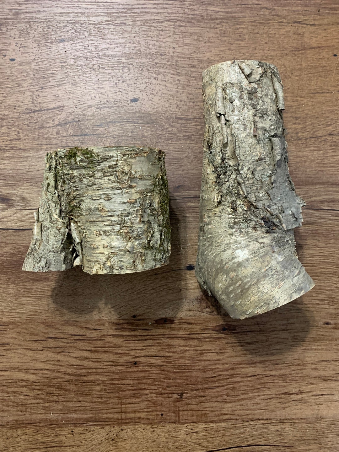 Yellow Birch Logs 2 Golden Pieces Etsy