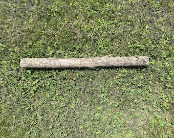 Unique Ironwood Log With Dark Center, Hophornbeam, Approximately 14.5 ...