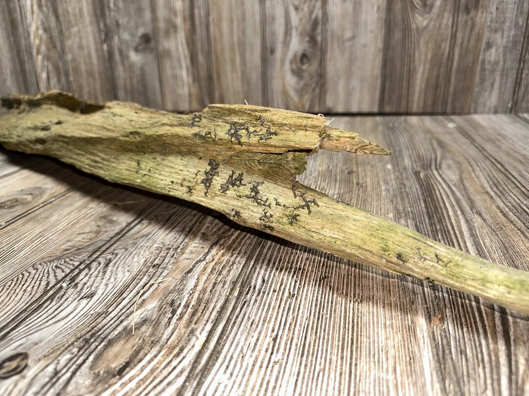 Tree Limb, Branch End, Driftwood, Approximately 45 Inches Long by 5 ...