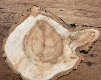 One Large Aspen Slice, Approximately 11 Inches Long by 9 Inches Wide and 1 Inch Thick
