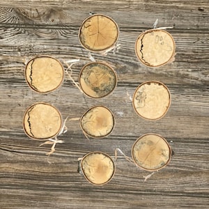 Nine Spalted White Birch Slices - Approximately 2.5-3 Inches Diameter by 1/2 Inch Thick
