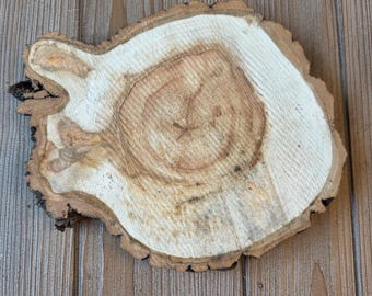 One Large Aspen Slice, Approximately 9 Inches Long by 8 Inches Wide and 1 Inch Thick
