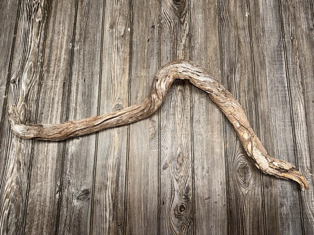 Curved Tree Limb, Branch End, Driftwood, Approximately 34 Inches Long ...