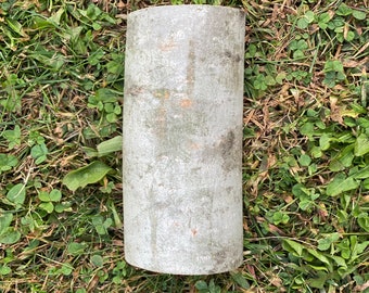 Aspen Half Log, Aspen Slab, About 6 Inches Long by 3 Inches Wide and 1.5 Inches Thick