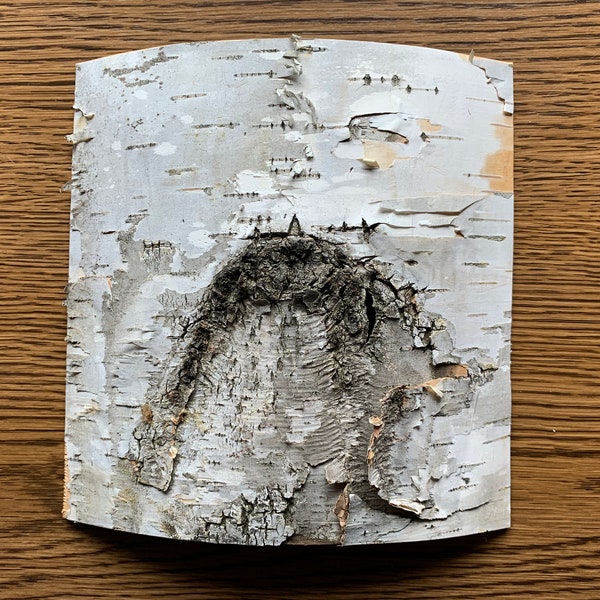 Birch Bark Paper - Etsy