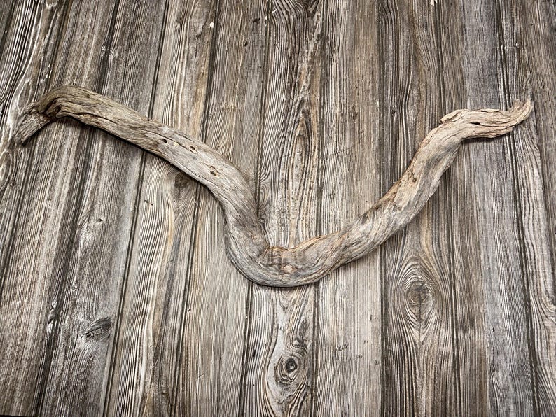 Curved Tree Limb, Branch End, Driftwood, Approximately 34 Inches Long ...