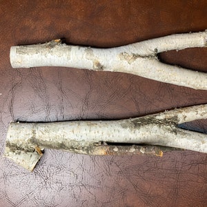 White Birch Y Shaped Logs, 2 Count, About 12 Inches Long