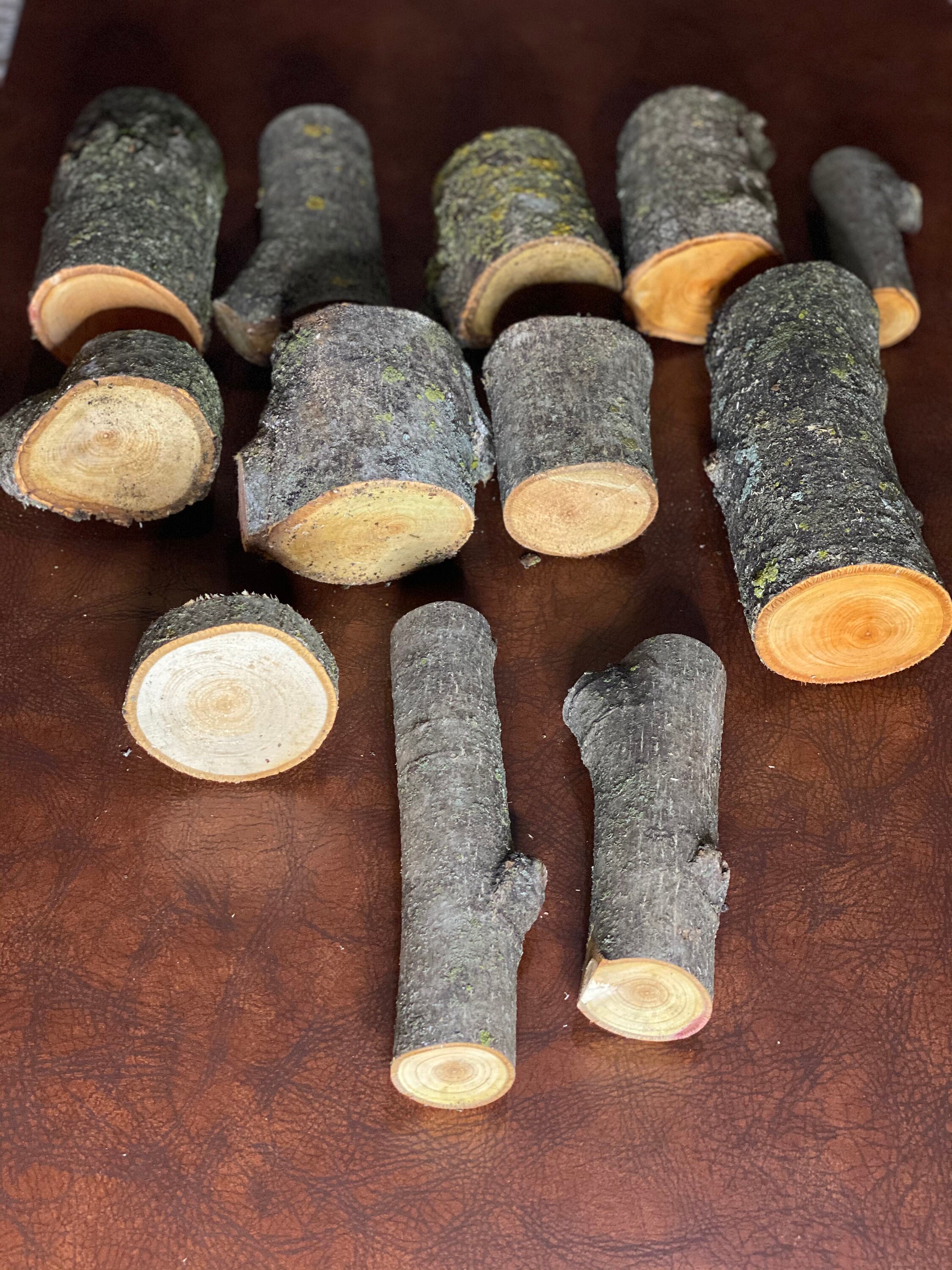 12 Pack Assorted Basswood Logs 18 Inches in Length Etsy