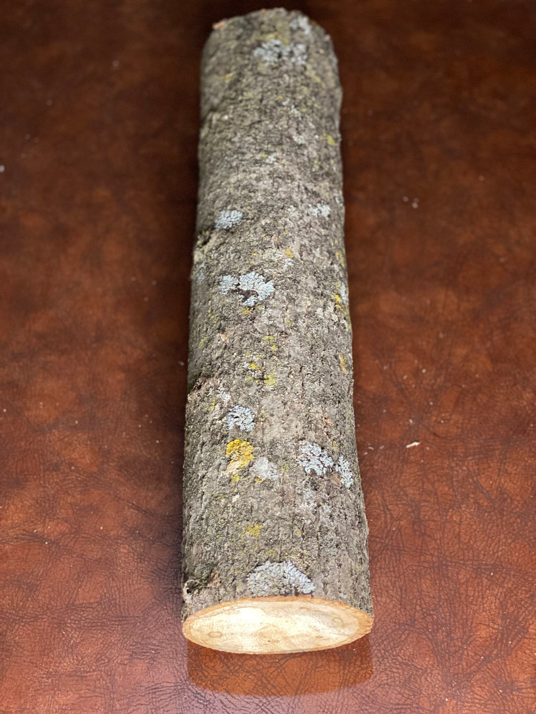 Basswood Log, One Count, About 20 Inches Long by 5 Inches Diameter Etsy