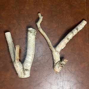 White Birch 3-Prong Logs, 2 Count, Up to About 14 Inches Long