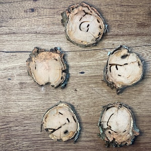 May include: Five natural wood slices with bark, arranged in a pattern on a wood surface.