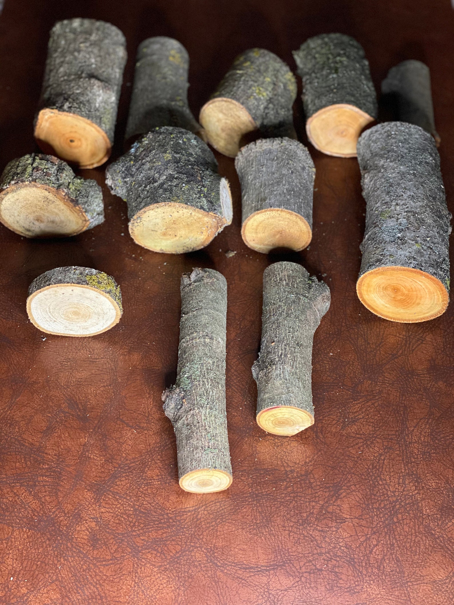 12 Pack Assorted Basswood Logs 18 Inches in Length Etsy