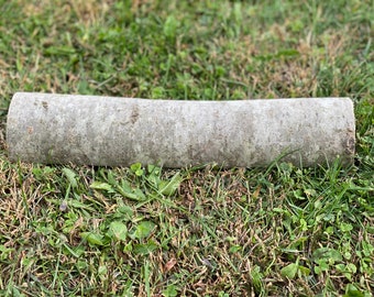 Tronco de álamo temblón, tablón de álamo temblón, de aproximadamente 30 cm de largo por 7,5 cm de ancho y 3,8 cm de grosor.