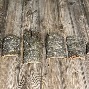 May include: Six pieces of bark, each with a different shape and size, are arranged on a wooden surface. The bark is a light brown color with a rough texture.