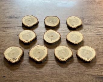 Ten Aspen Slices, Approximately 3-3.5 Inches Long by 3 Inches Wide and 1/2 Inch Thick
