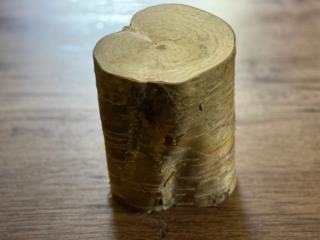 Yellow Birch Log, Golden Brown, Approximately 6 Inches Long by 5 Inches